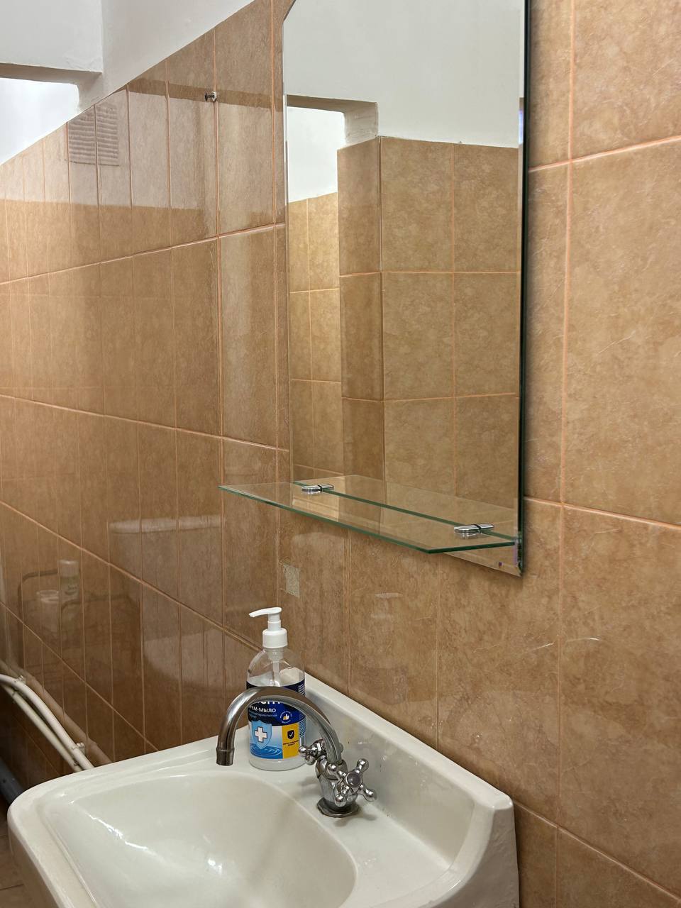 Фото Берёза