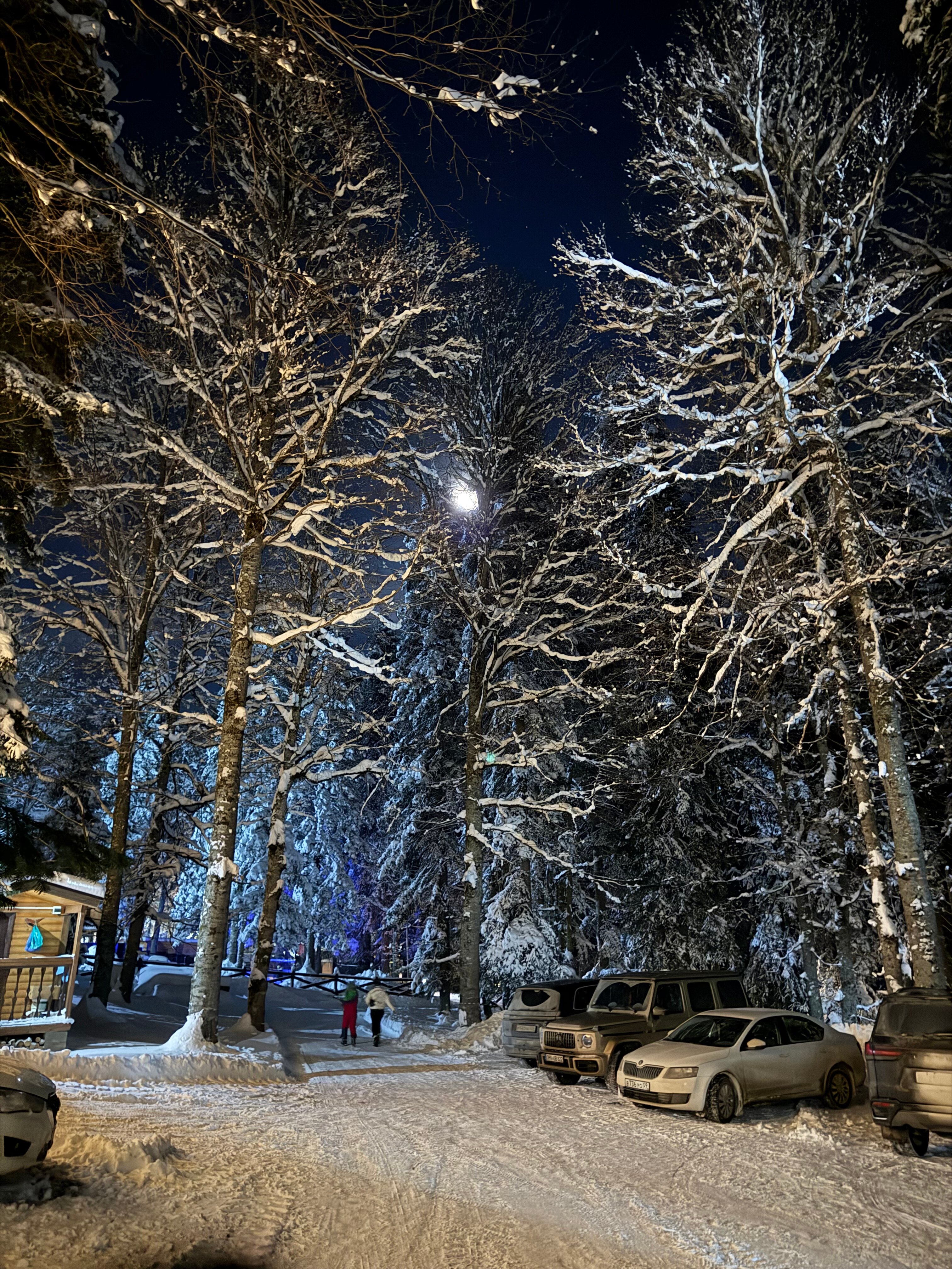Фото Лесогорье