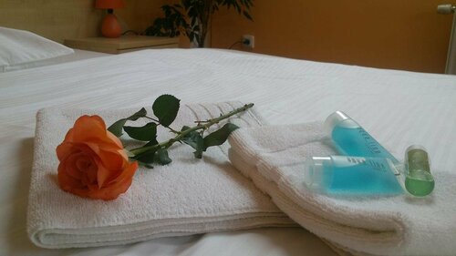 Гостиница Hotel & Motorest V ÚdolÍ ZlatÉho Potoka в Жатеце