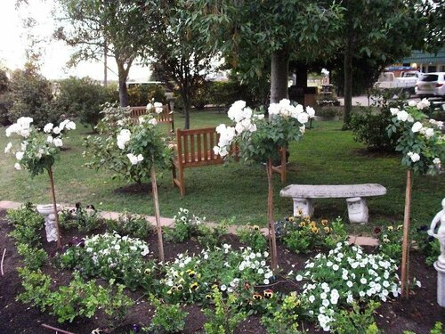 Гостиница City Park Motel в Уогга-Уогга