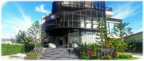 Гостиница Sorin Boutique Hotel в Сурине
