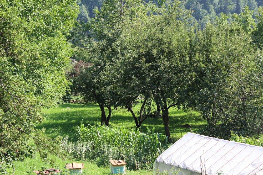 Ecohouse Svaneti - 10