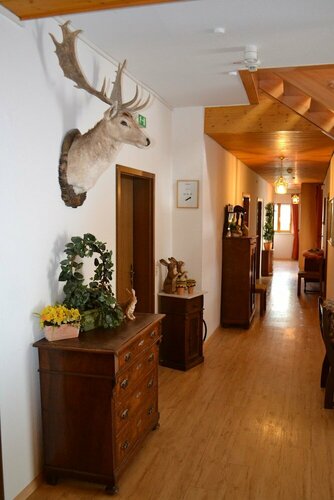 Гостиница Hotel Werneths Landgasthof Hirschen в Русте