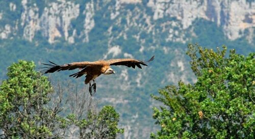 Гостиница Hotel Family and SPA в Флораке