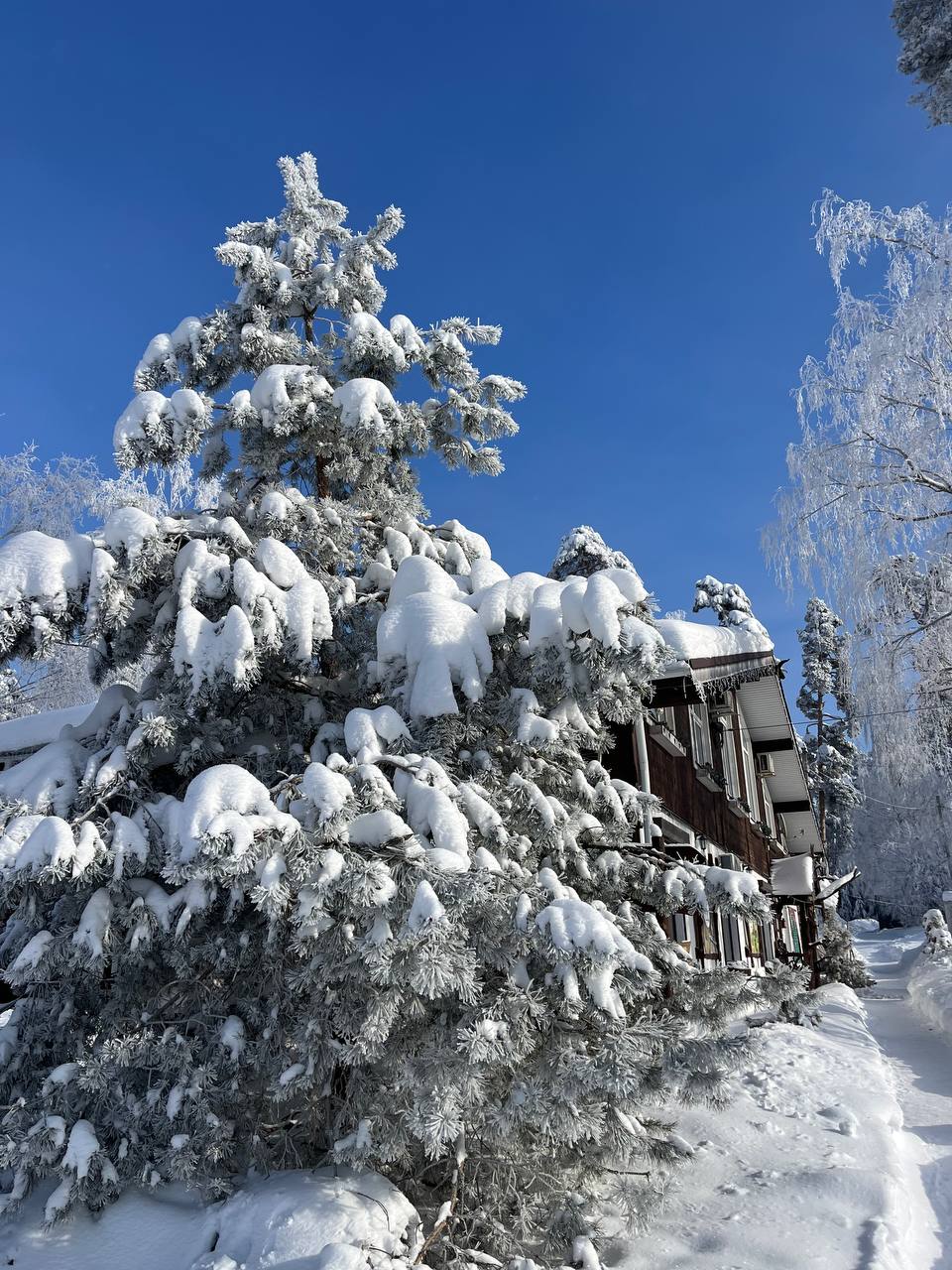 Фото Лесной бункер