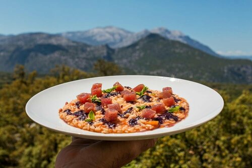 Гостиница Hotel Il Querceto Dorgali в Доргали