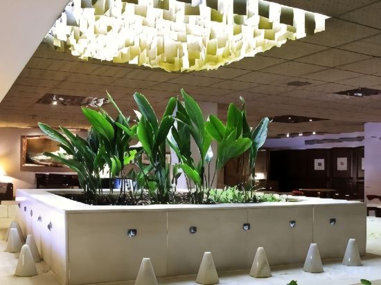 Фото Hotel Goya