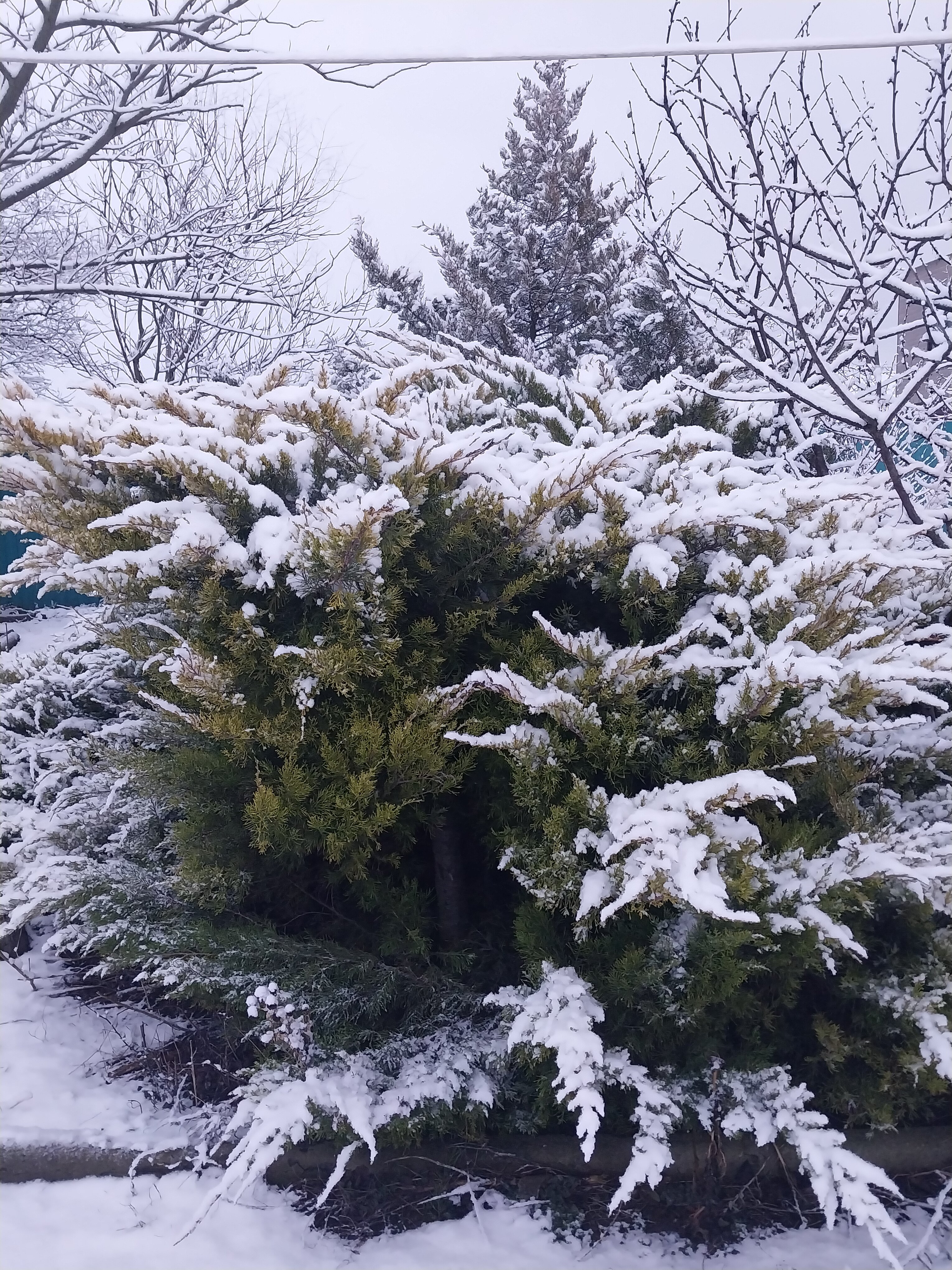 Фото Лазурный