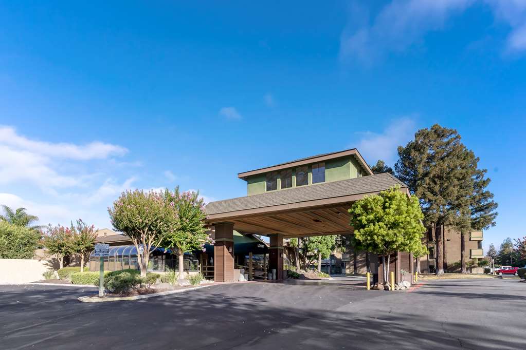Фото Best Western Plus Forest Park Inn