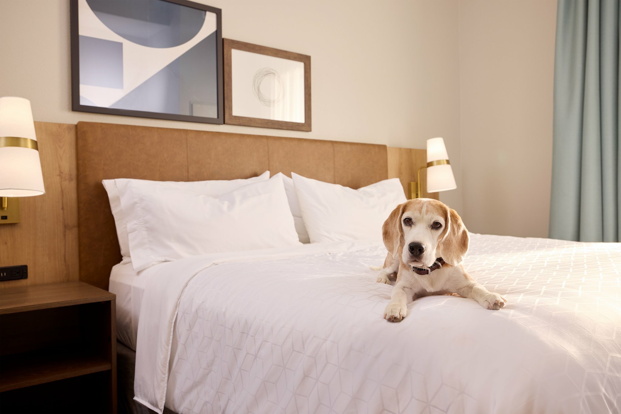 Фото Staybridge Suites Liverpool, an Ihg Hotel