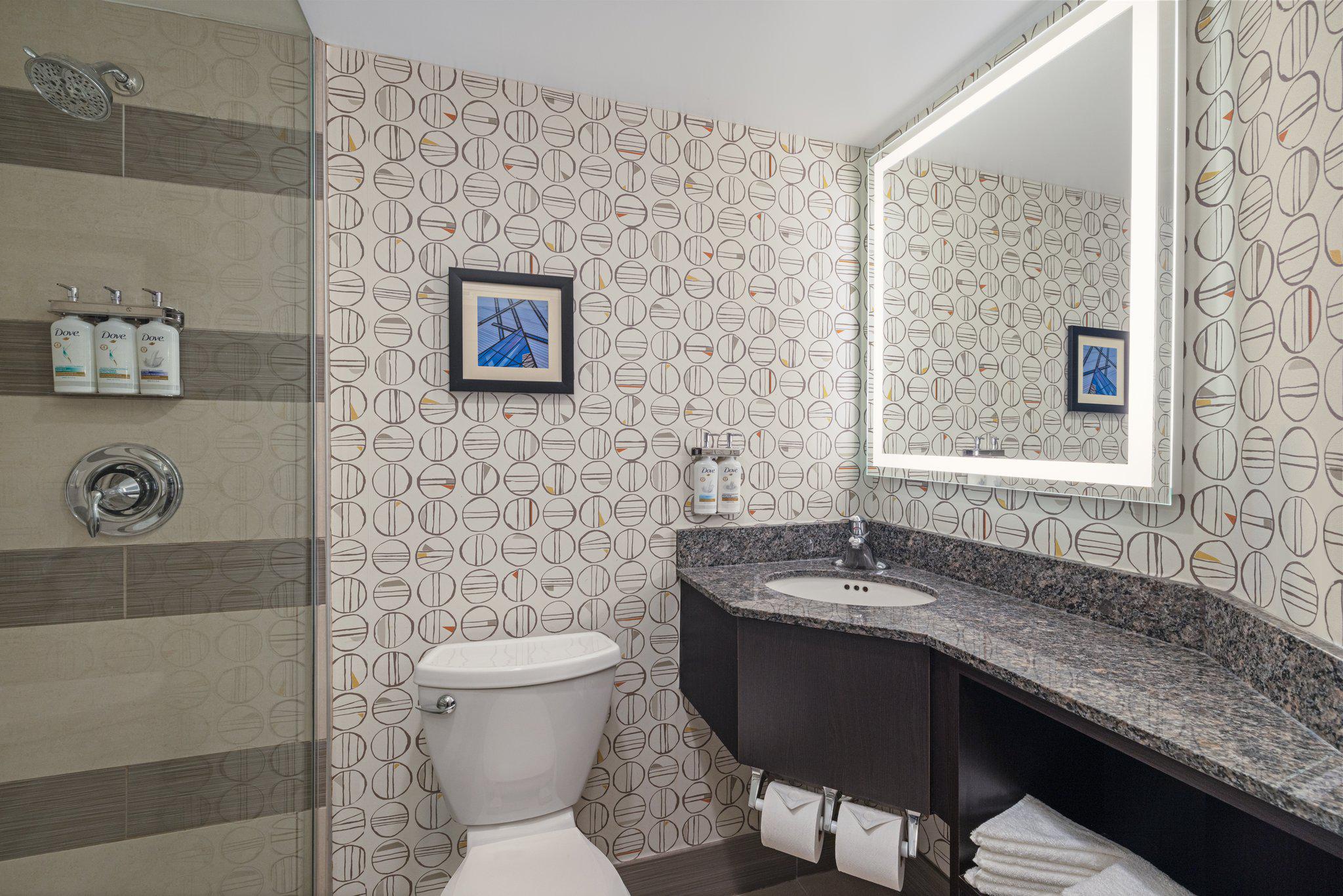 Фото Holiday Inn Toronto Downtown Centre