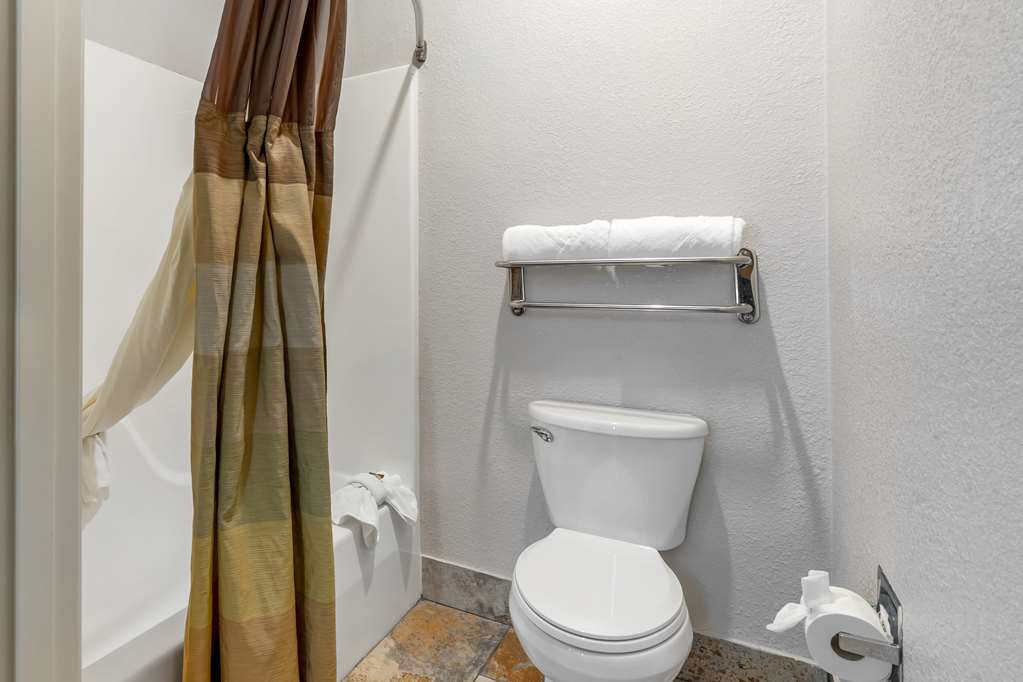 Фото Best Western Plus Des Moines West Inn & Suites