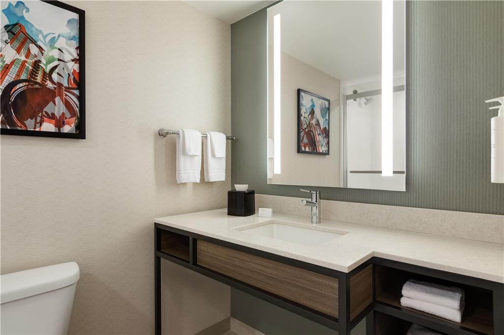 Фото Hilton Garden Inn Atlanta Downtown