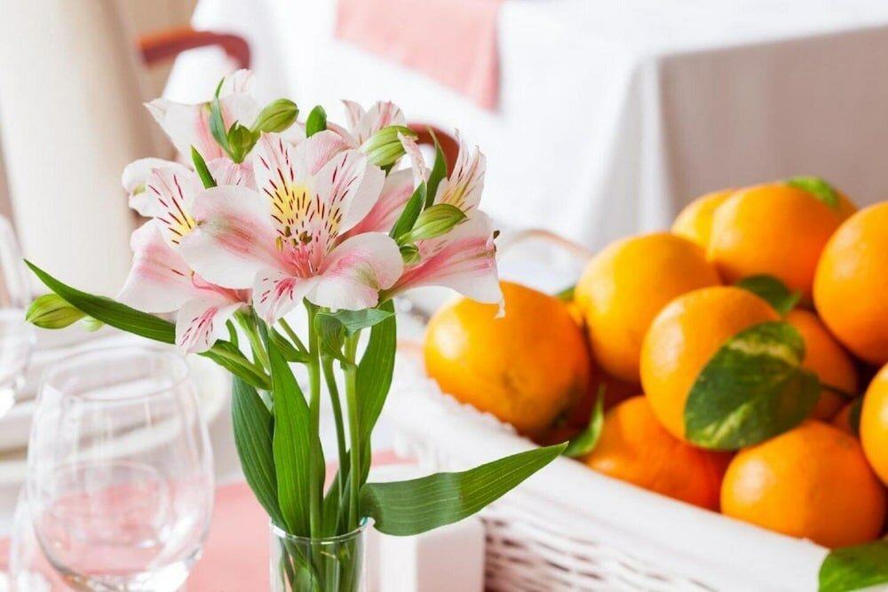 Фото Hotel Royal Plaza