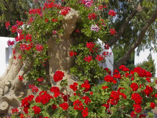 Фото Fergus Conil Park