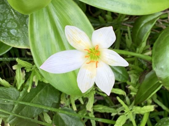 Фото ViluVeli Holiday Retreat