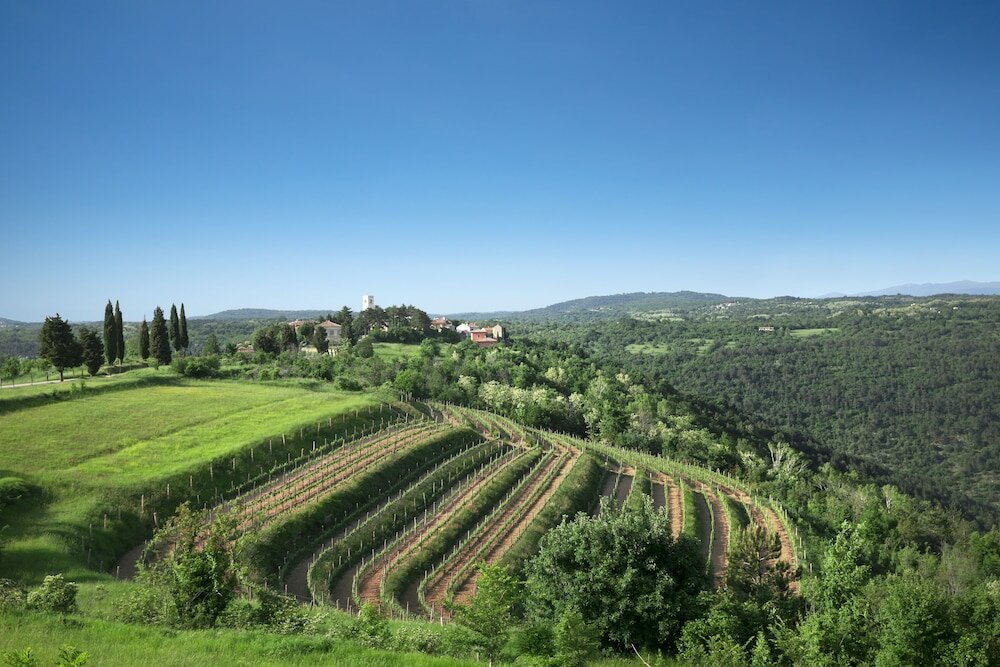 Фото Palazzo Angelica Adults Only