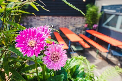 Внешний вид отеля The Waterman в Кембридже, фото 5