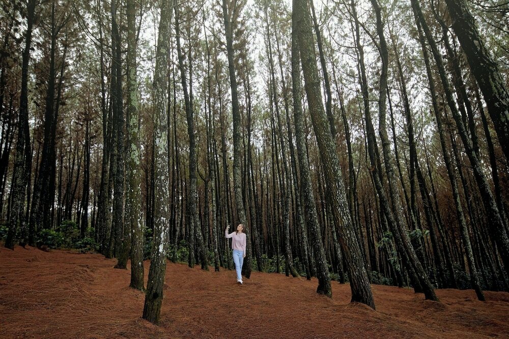 Фото Four Points by Sheraton Bandung