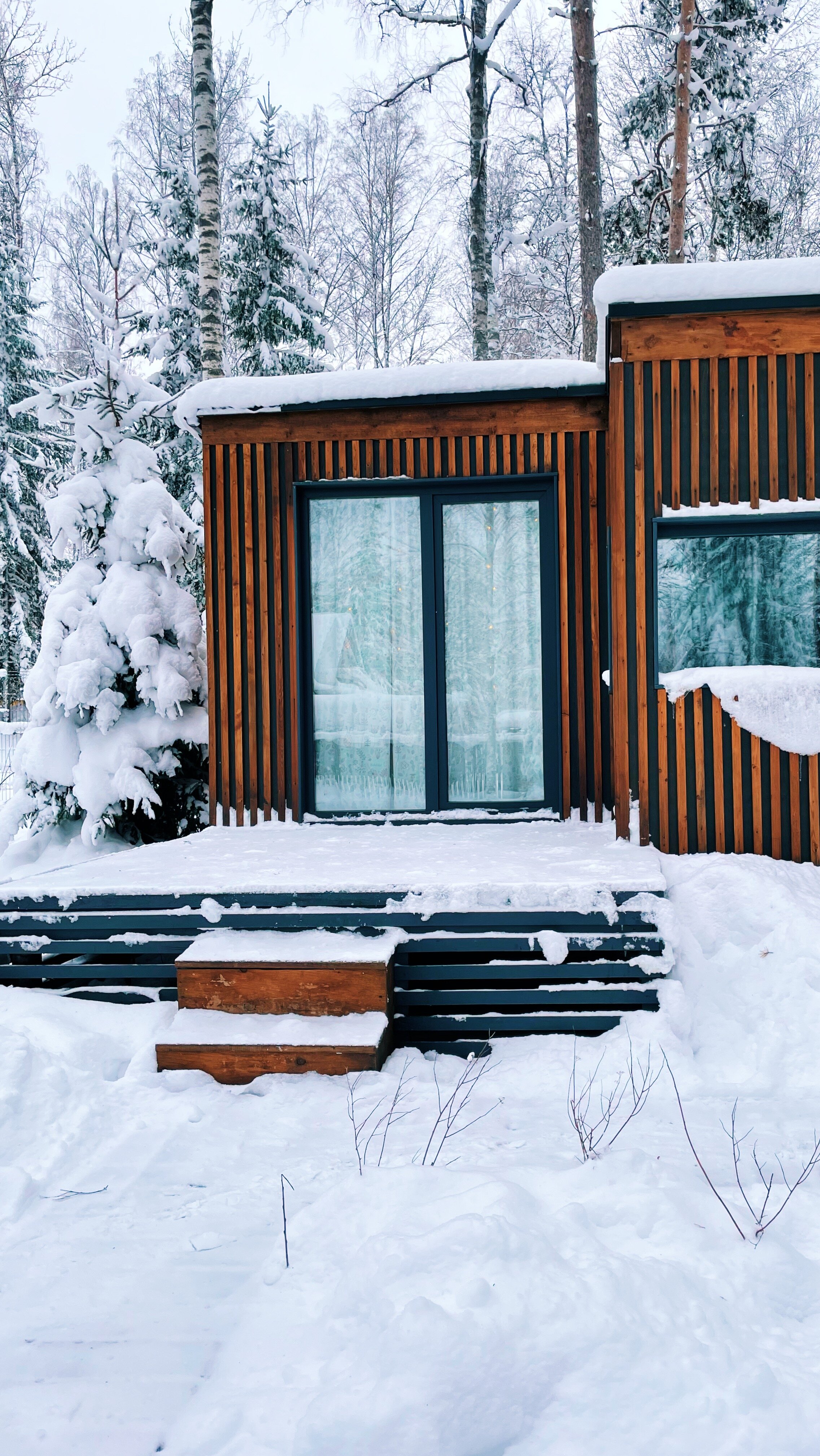 Фото Черника