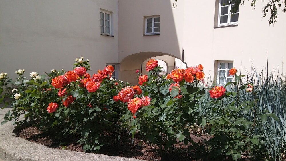 Фото Domus Maria Hotel