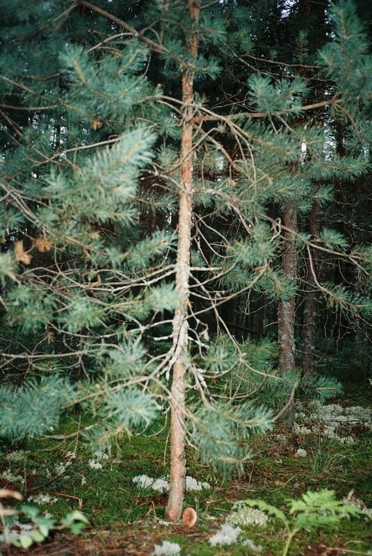 Домики в Деулино — фото 28
