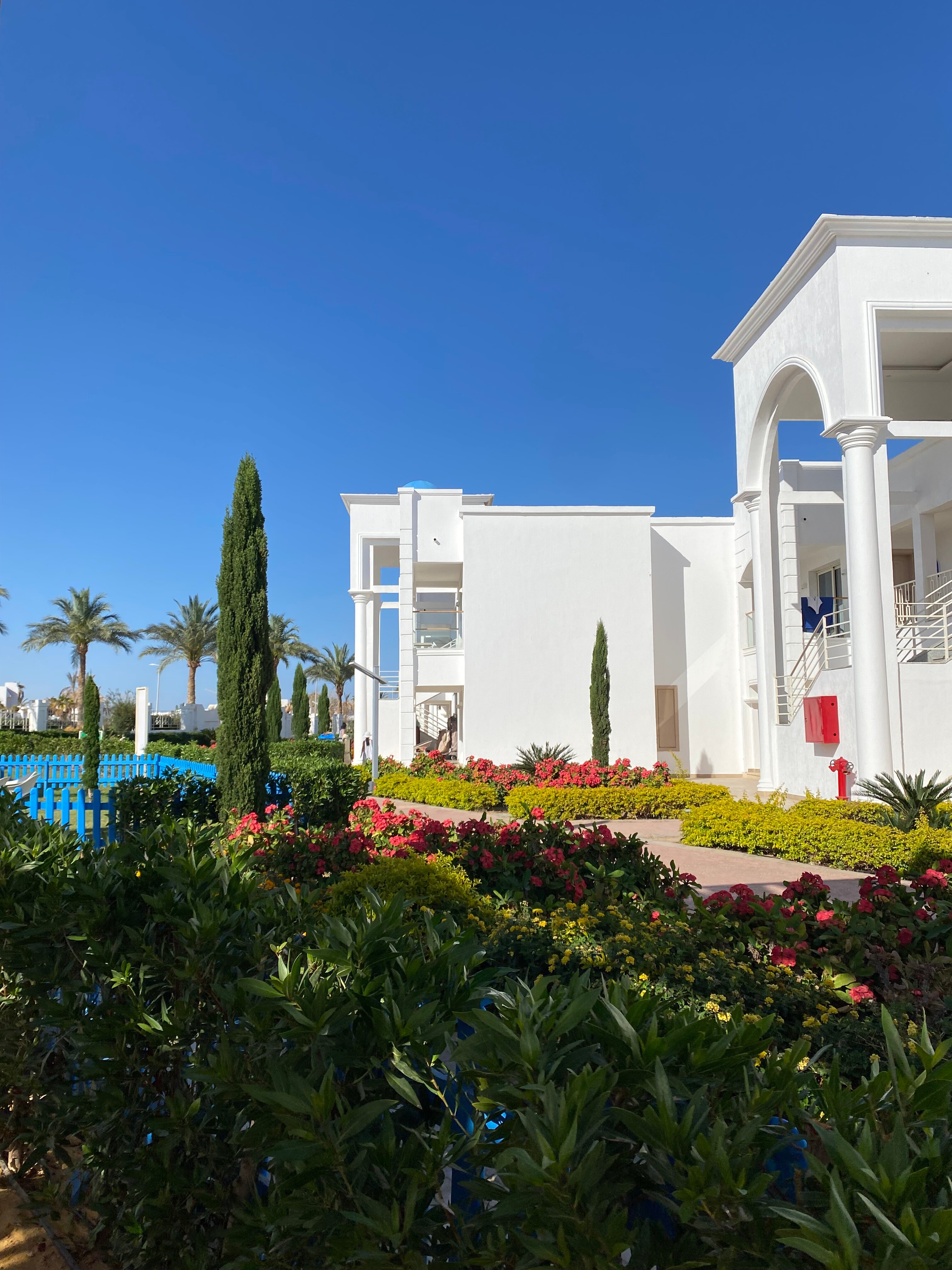 Фото Pickalbatros Palace Resort