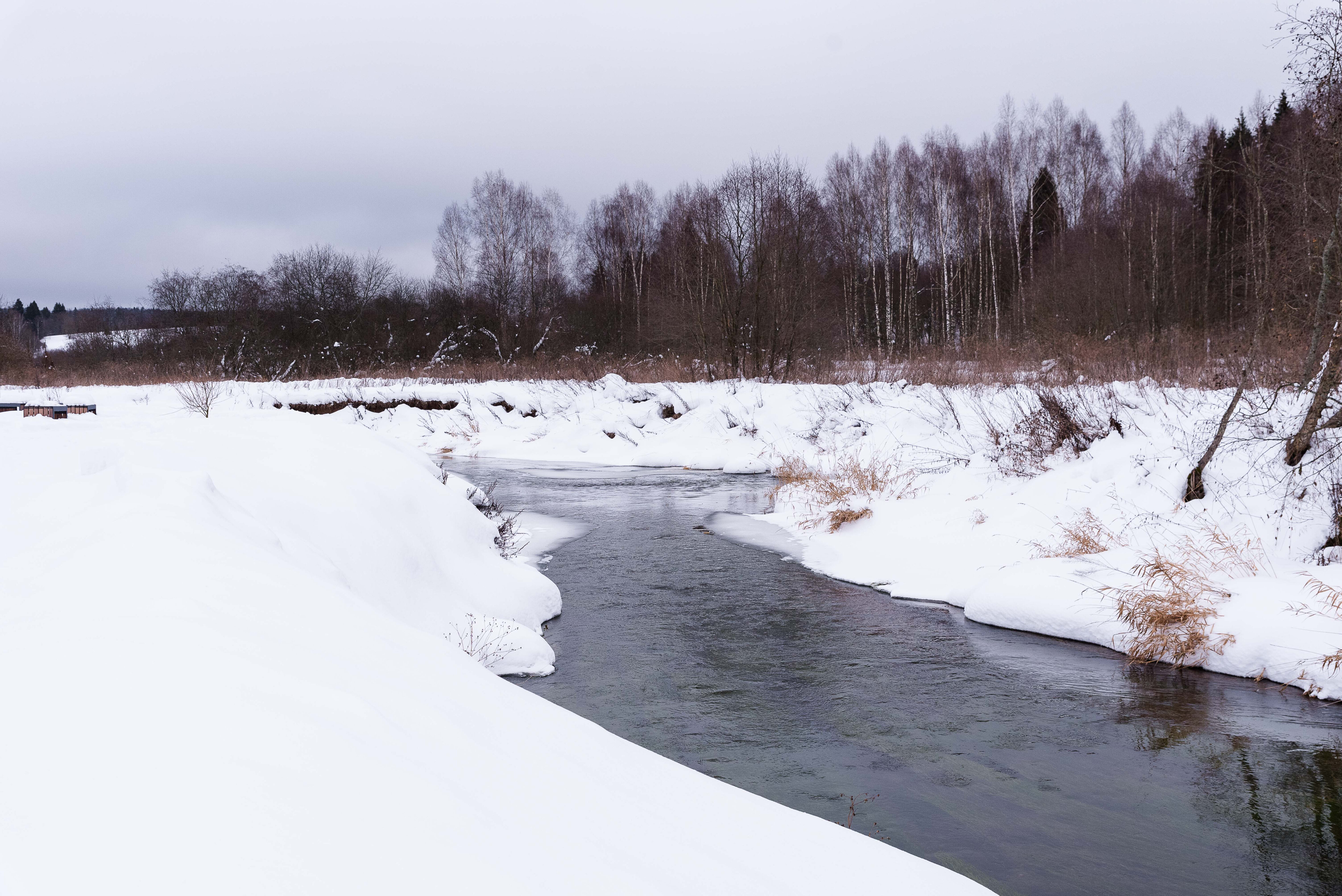 Фото Виш Хоум Яхрома