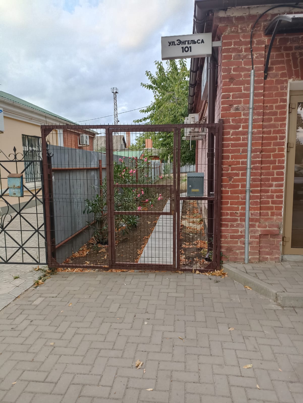 Фото Синий Тигр