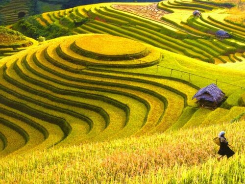 Гостиница Huong Thao 2 Hotel в Провинции Хазянг