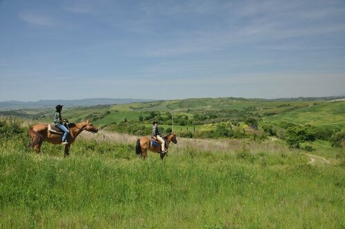 Отдых на ферме Agriturismo Belmonte Vacanze в Монтайоне