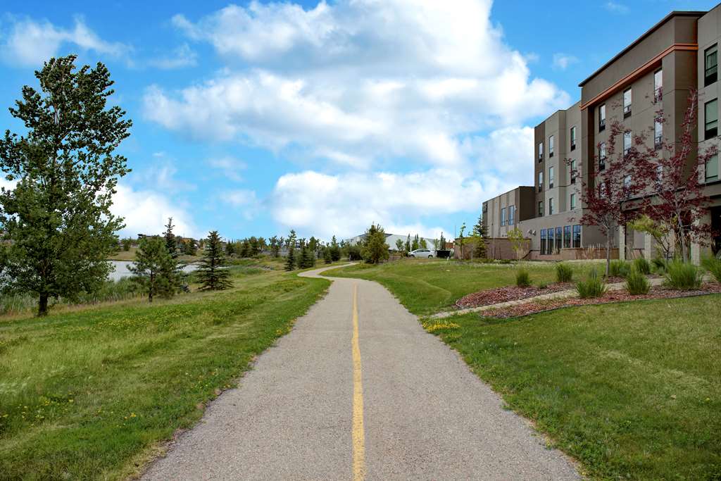 Фото Hampton Inn by Hilton Edmonton/Sherwood Park