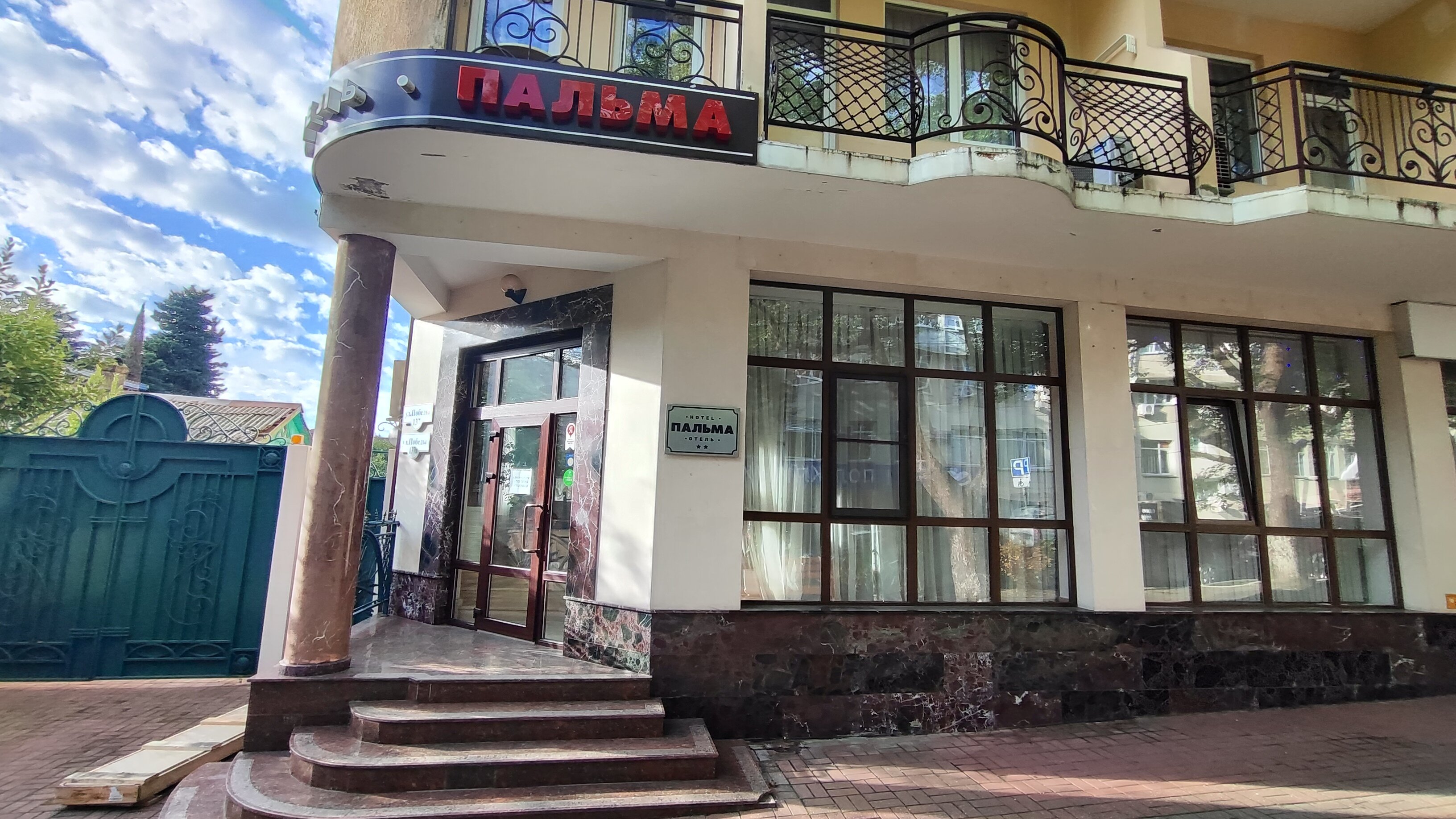 Фото Пальма