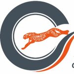 logo Авто Сити Колесо