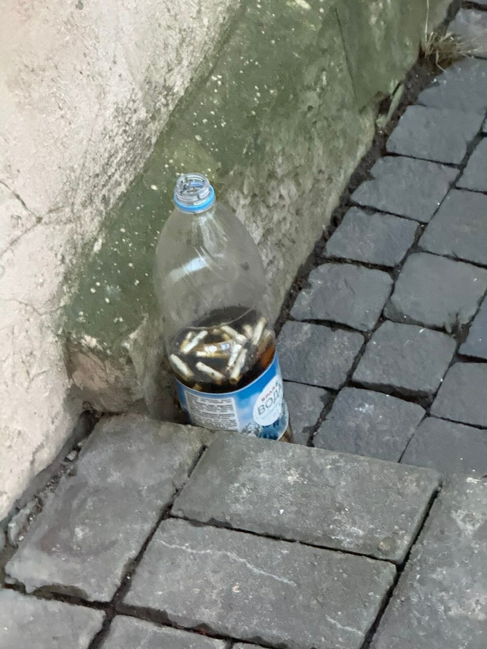 Фото Невский Питер