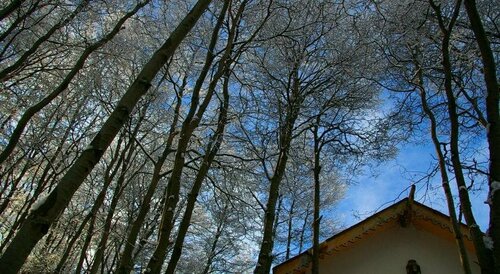 Гостиница Familia Piatti B&b в Провинции Огненная Земля