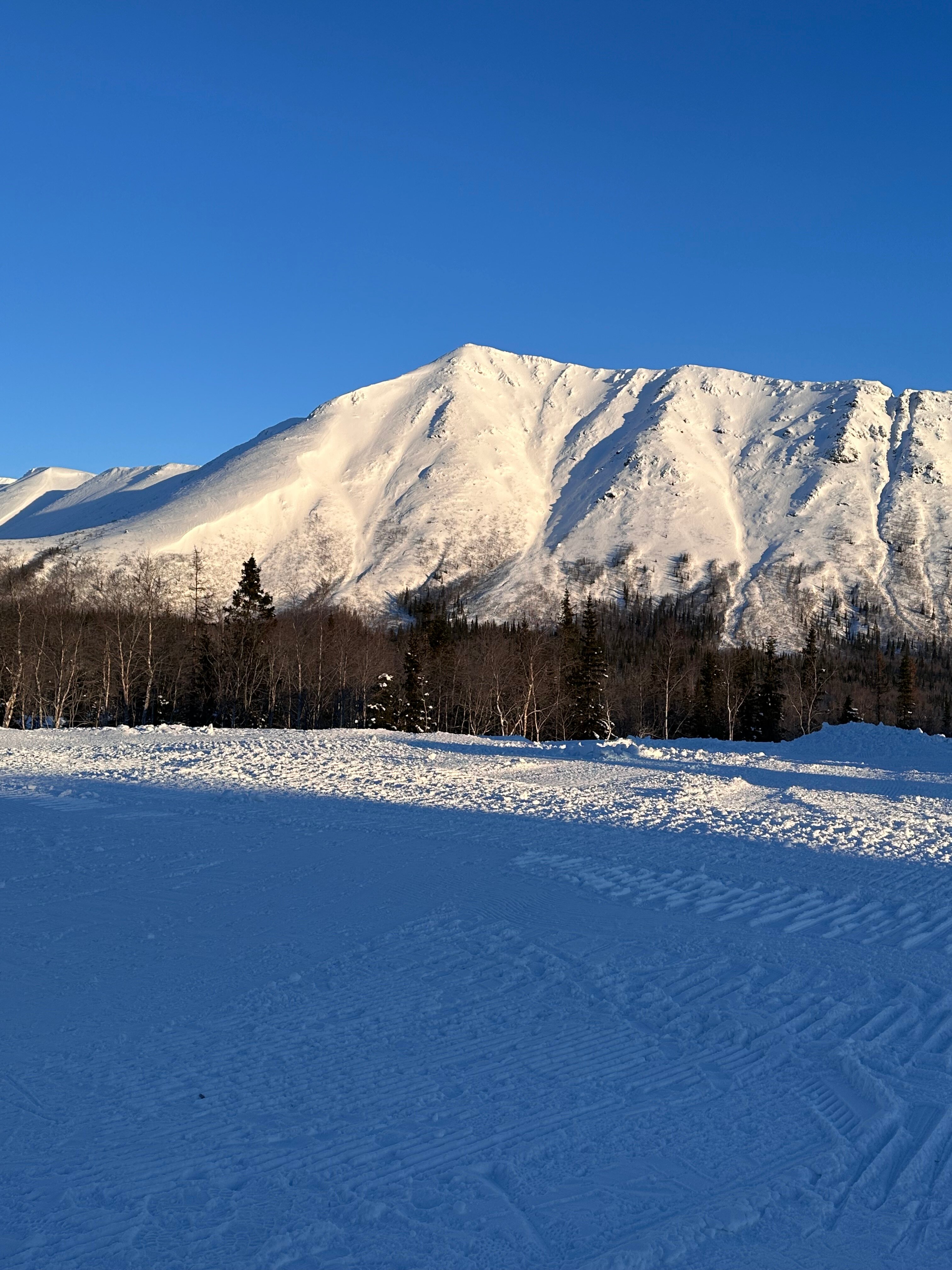 Фото Тирвас
