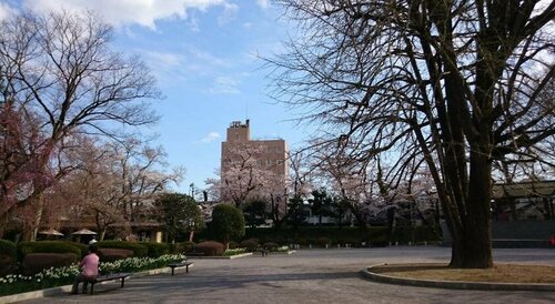 Гостиница Hotel Wakasa в Асикаге