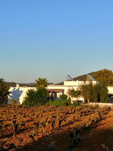 Гостиница Agroturismo Sa Vinya d'en Palerm в Санта-Эулалия-дель-Рио