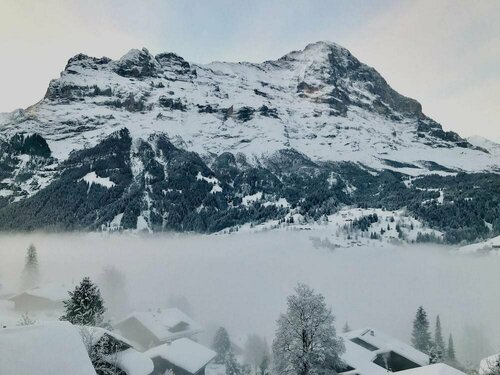 Гостиница Eigerblick в Гриндельвальде