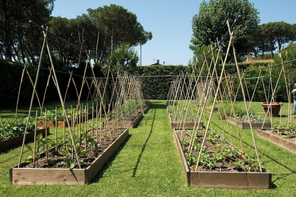 Фото Hermitage Hotel & Resort