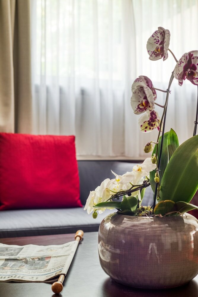 Фото Hotel Le Richemont