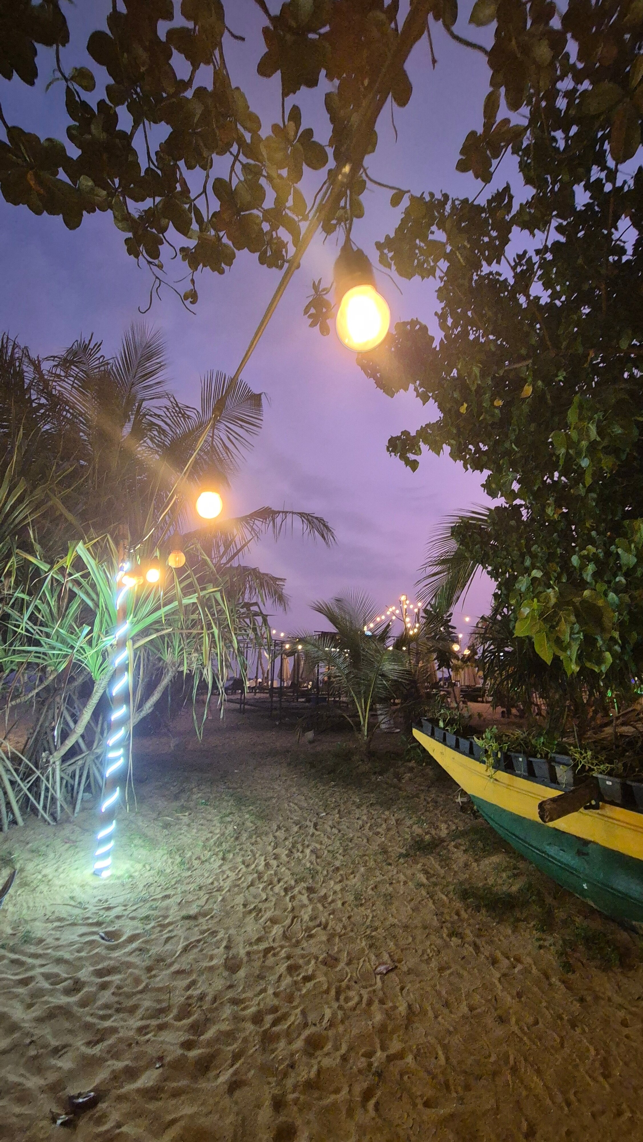 Фото Thambapanni Retreat