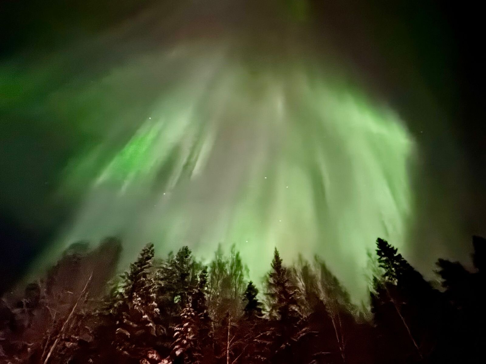 Фото Тирвас