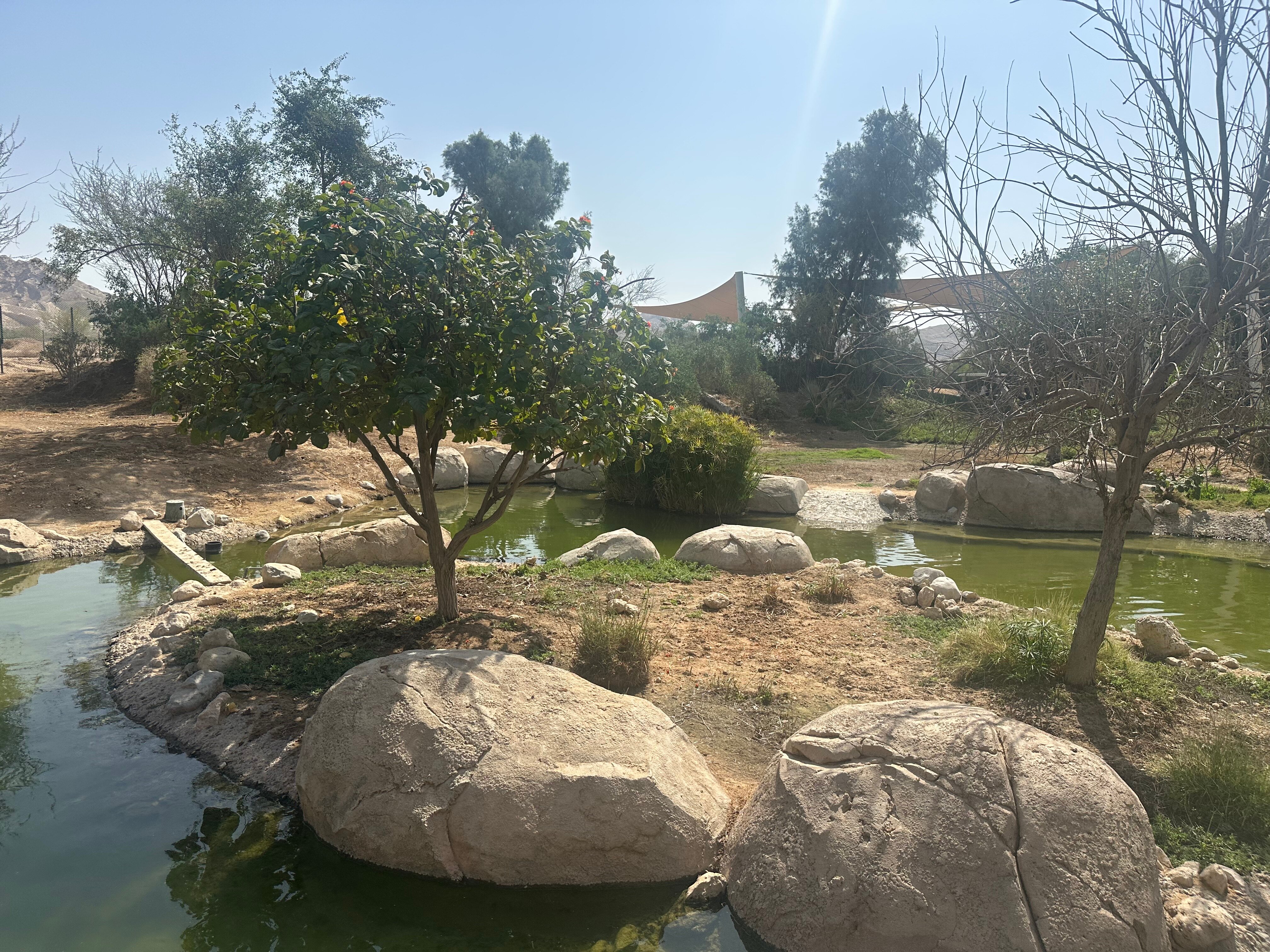 Фото Royal Rose Abu Dhabi, a Curio Collection by Hilton Affiliated Hotel