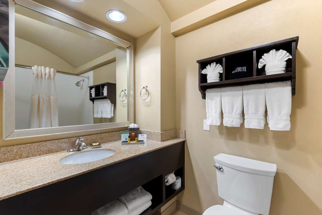 Фото Best Western Plus Arlington North Hotel & Suites