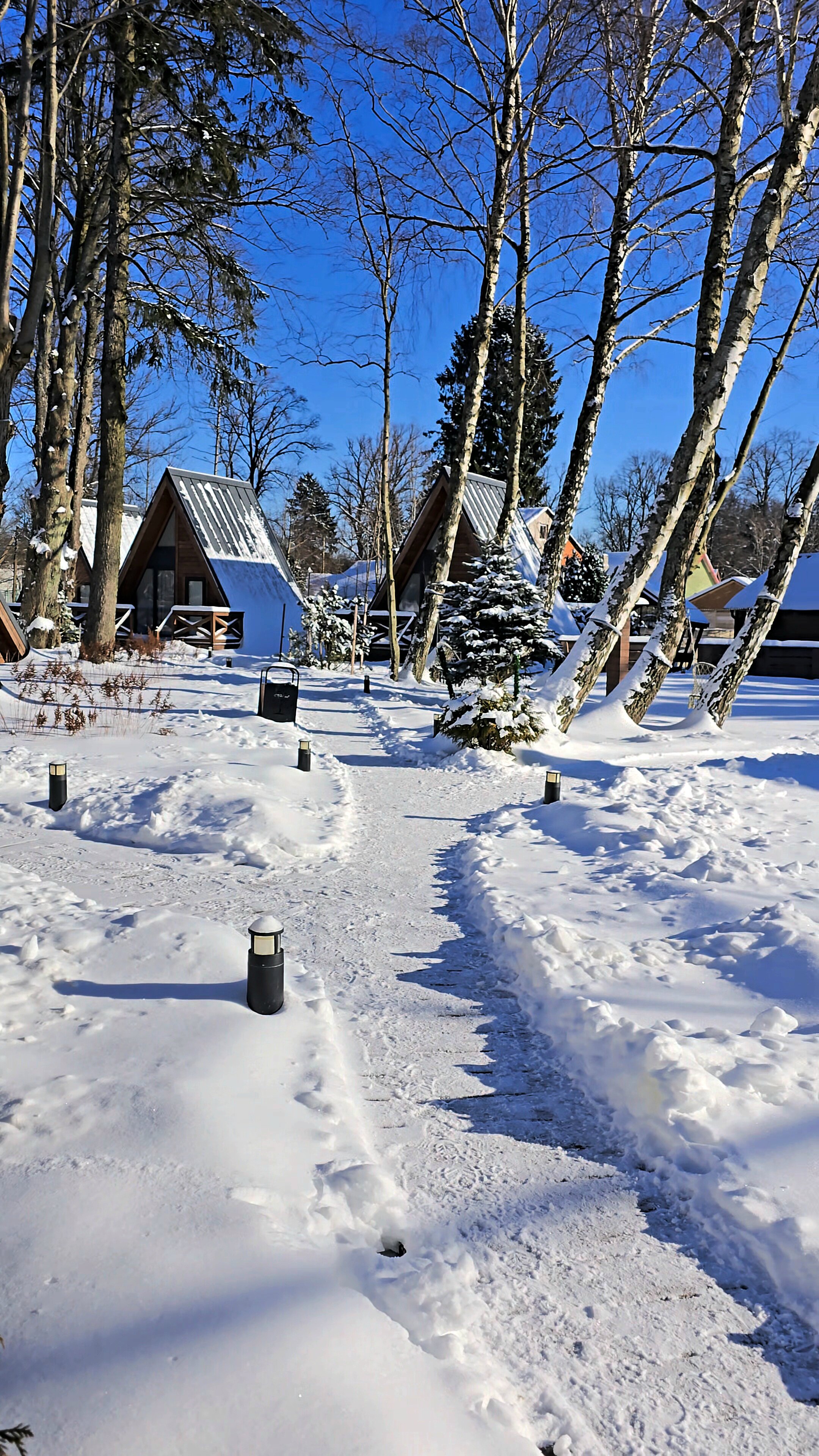 Фото Шалаш