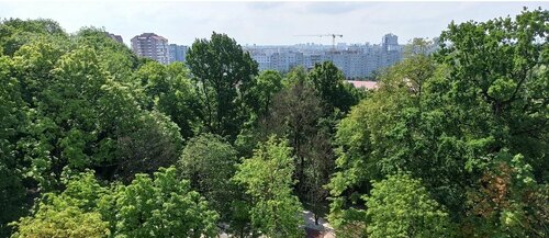 Алиса 39, Галицкого 24  фото 5