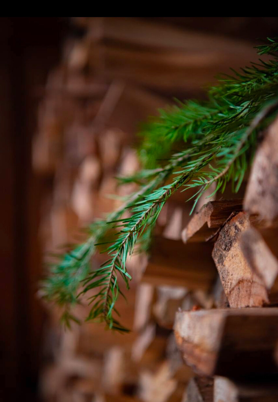 Фото Дом Дзен