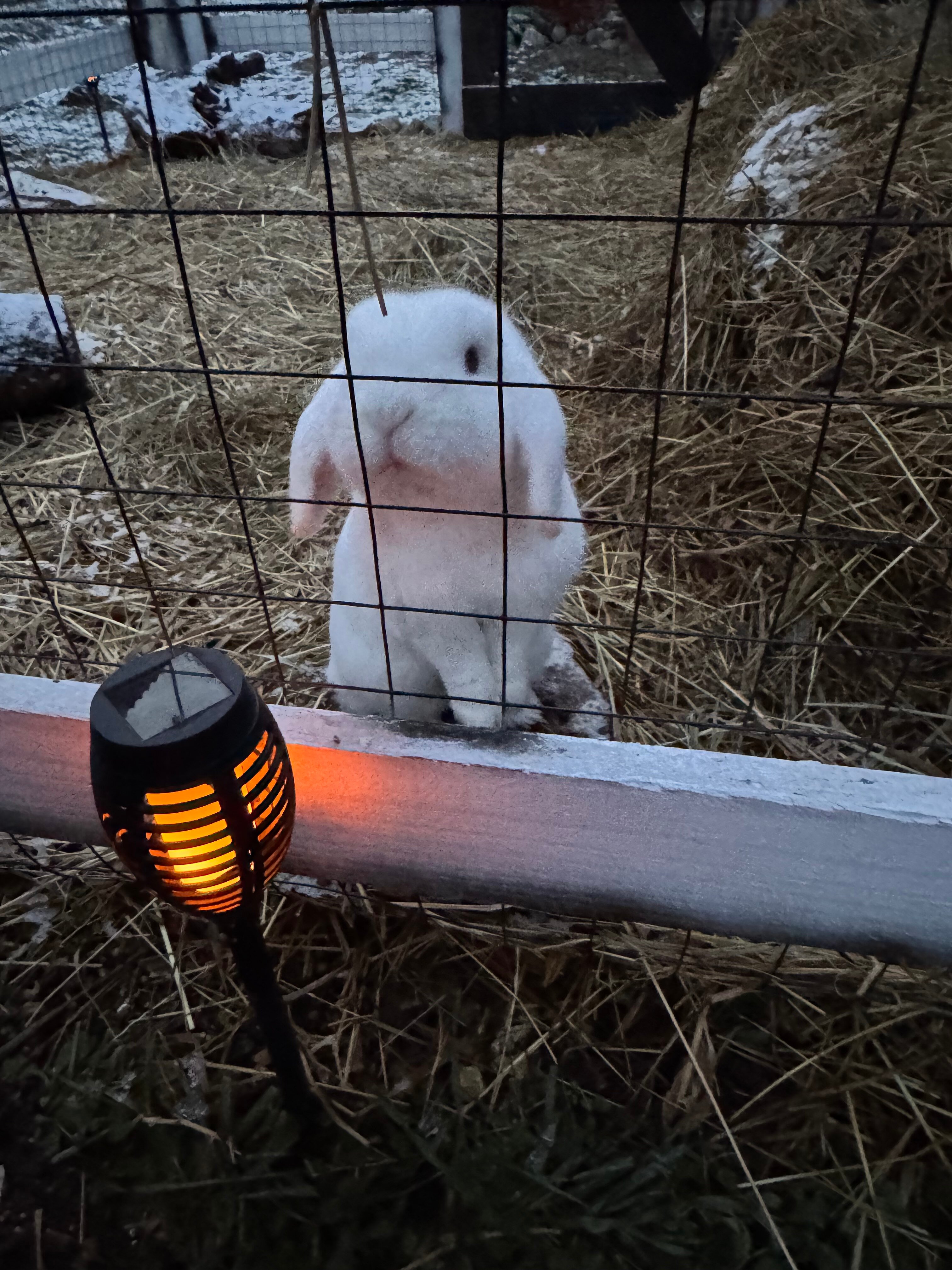 Фото Инь Ян